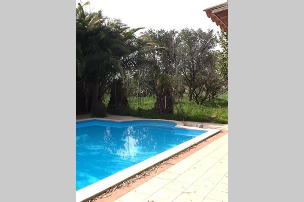 Loft Mansardato Con Giardino E Piscina In Villa Privata Loft With Garden And Swimming Pool In A Private Villa Sestu Exterior photo
