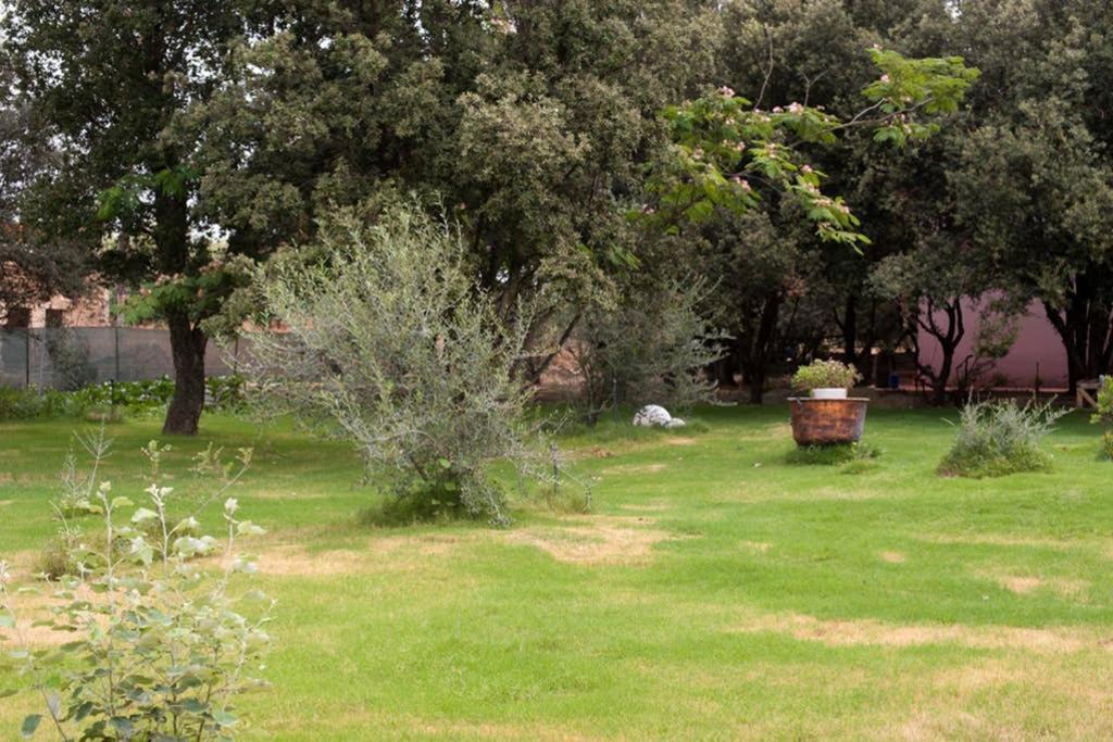Loft Mansardato Con Giardino E Piscina In Villa Privata Loft With Garden And Swimming Pool In A Private Villa Sestu Exterior photo