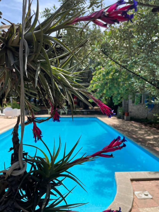 Loft Mansardato Con Giardino E Piscina In Villa Privata Loft With Garden And Swimming Pool In A Private Villa Sestu Exterior photo