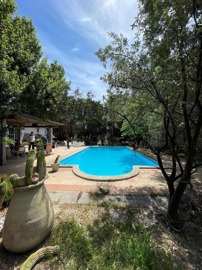 Loft Mansardato Con Giardino E Piscina In Villa Privata Loft With Garden And Swimming Pool In A Private Villa Sestu Exterior photo